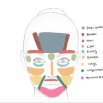 The Intersection of Gut Health, Probiotics, and Inflammatory Acne: It’s More Than Skin Deep